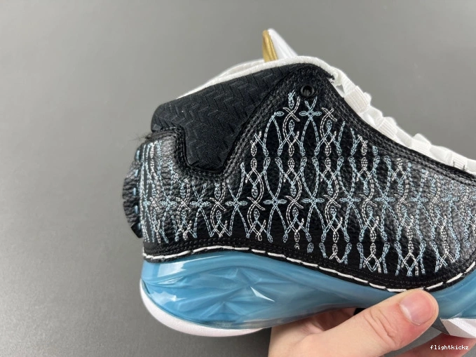 23 UNC Jordan 318376-041 0729